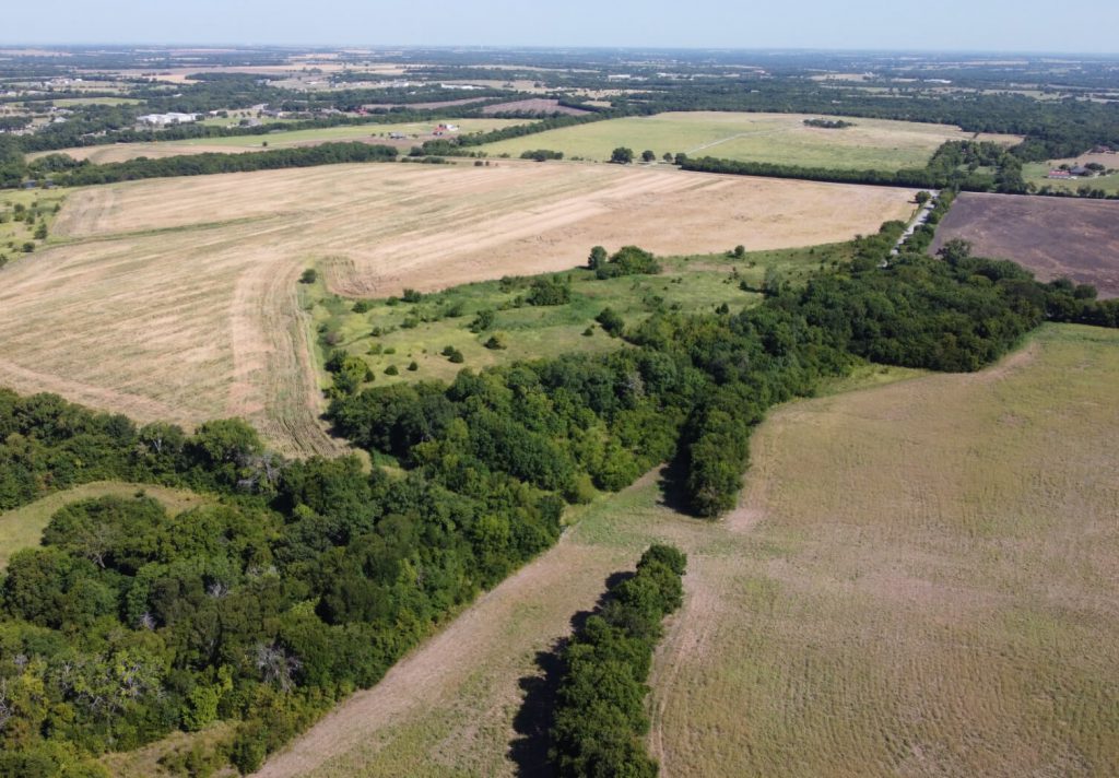 Aerial view of open space and trees