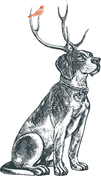 illustration of dog with antlers