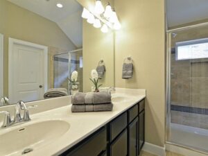 Modern bathroom with double sink vanity, folded towels, small potted plant, wall mirror, bright lighting, and a glass-enclosed shower—features often found in Painted Tree McKinney homes for sale.