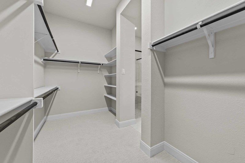 Spacious walk-in closet with multiple shelves and hanging rods, beige walls, and carpeted flooring—perfect for those seeking homes for sale in McKinney Texas or the beautiful Painted Tree McKinney community.