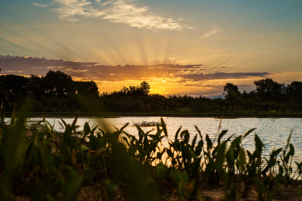 The sun sets behind trees and clouds, casting rays of light over a river with green plants in the foreground at Painted Tree lake in McKinney.